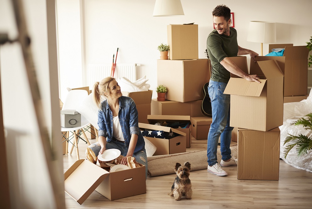 Essential Tips for a Smooth Commercial Move in Brantford